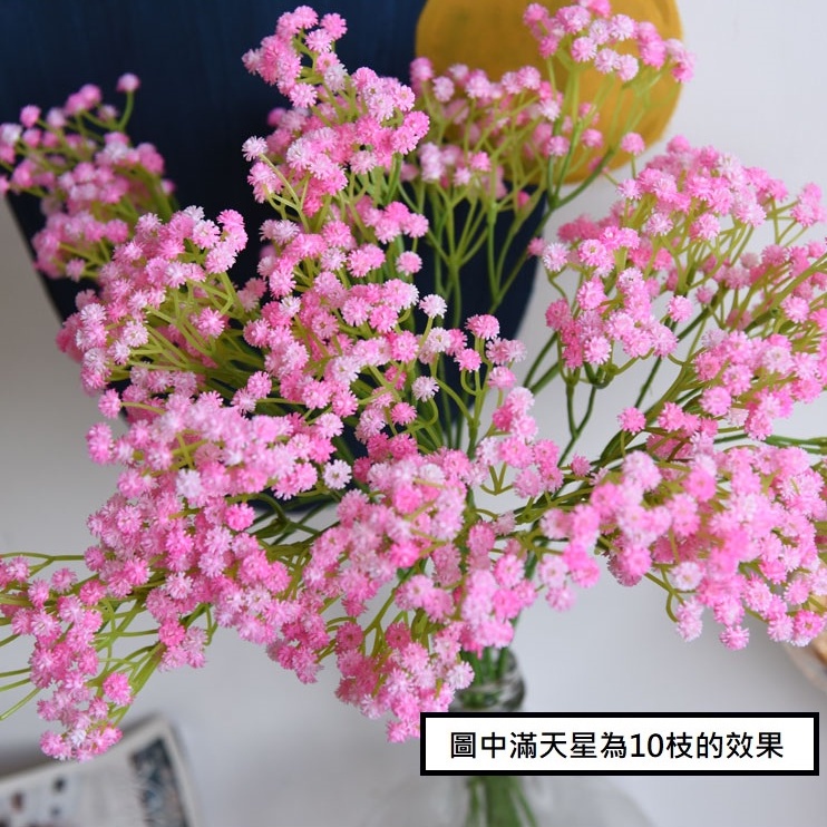 長枝滿天星(漸層粉)