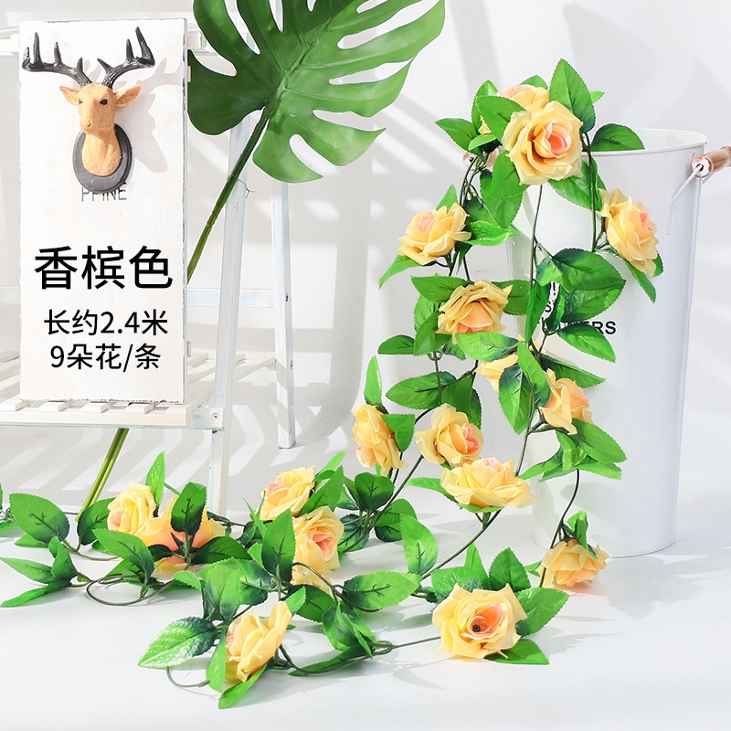9頭玫瑰❰香檳粉❱,1條