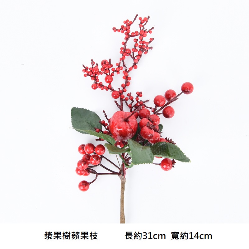 漿果樹蘋果插枝