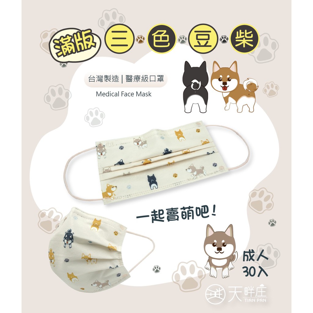 CS凱馺國際 成人 平面 口罩 醫療口罩 滿版 三色豆柴 柴犬 狗 耳繩是蜜糖橘色 MD 雙鋼印 台灣製造 現貨供應