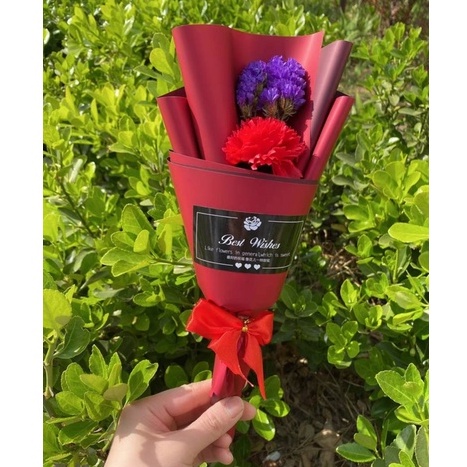 康乃馨花束【紅色】,約10*28cm,純花束（無提袋／無燈串）