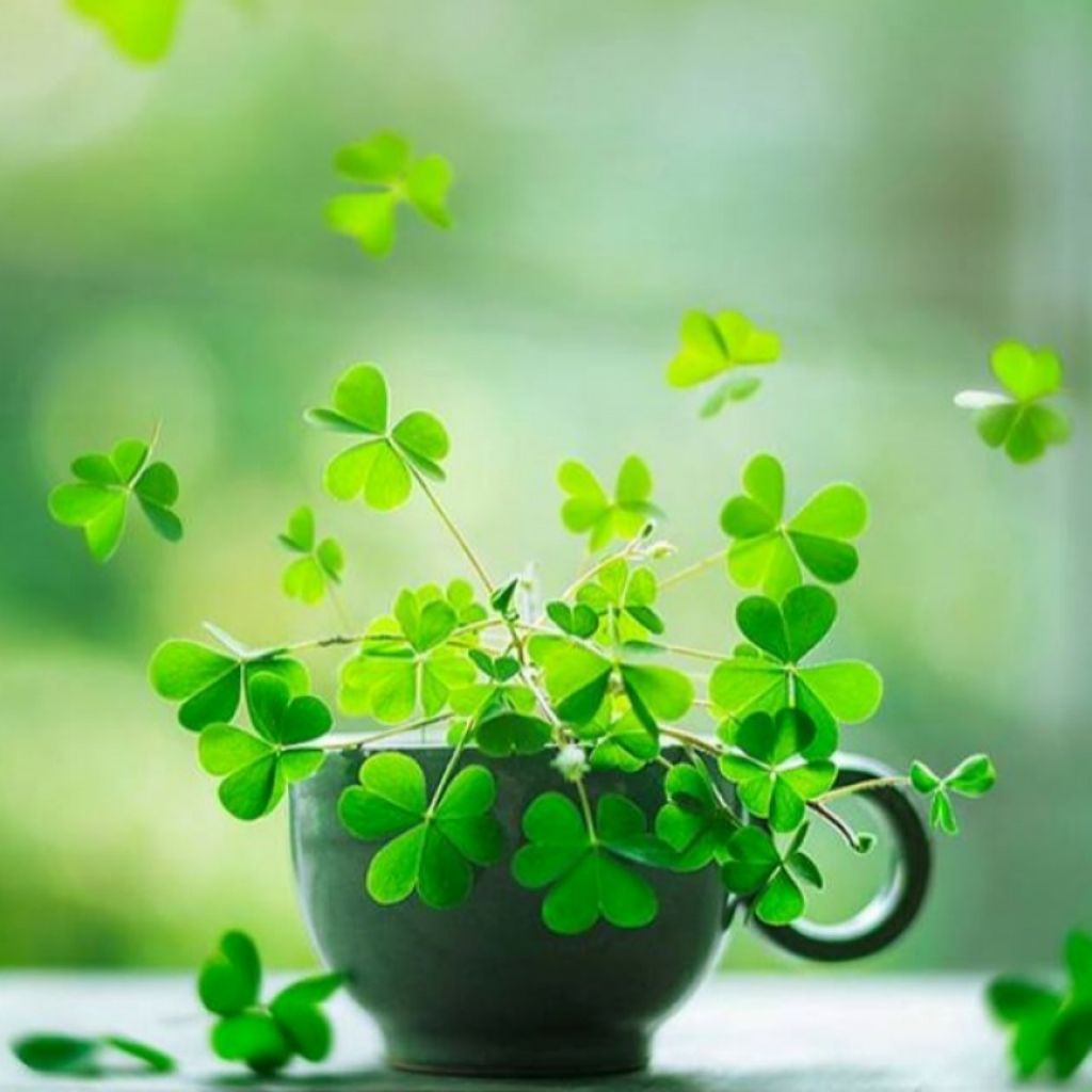 ?SG INSTOCKS?*NEW VERSION* BT.L Mouse Grip Tape for G Pro Wireless G