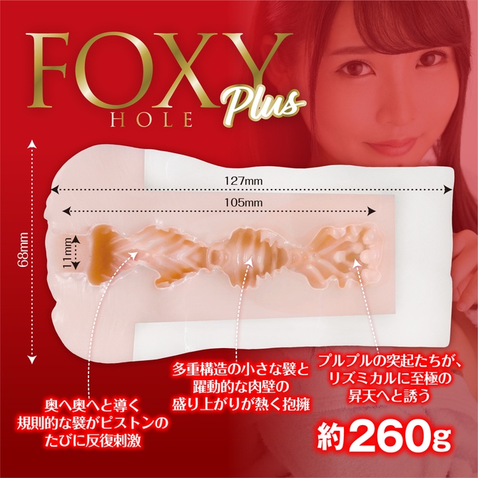 日本KMP FOXY HOLE Plus AV女優 樞木葵 男用自慰套 フォクシーホール プラス 枢木あおい