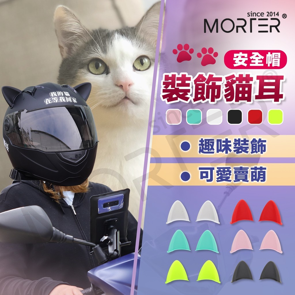 縮圖 1
