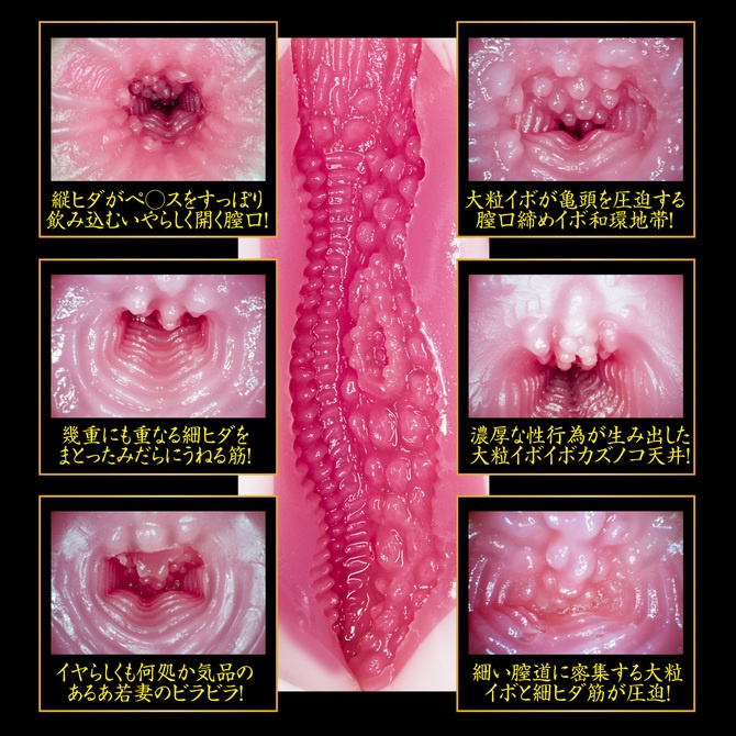 NPG 二代目 募集若妻 完熟名器物語 葵司 2代目 萌募集若妻 葵 AV女優名器 完熟名器物語 萌えあがる募集若妻 葵