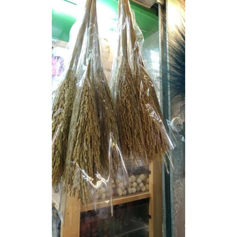 台灣現貨【乾燥稻穗】天然乾燥花材 40cm稻穗束 拜拜供花 花圈注連繩手作佈置材料 新年佈置 花藝材料 花圈藤圈 DIY