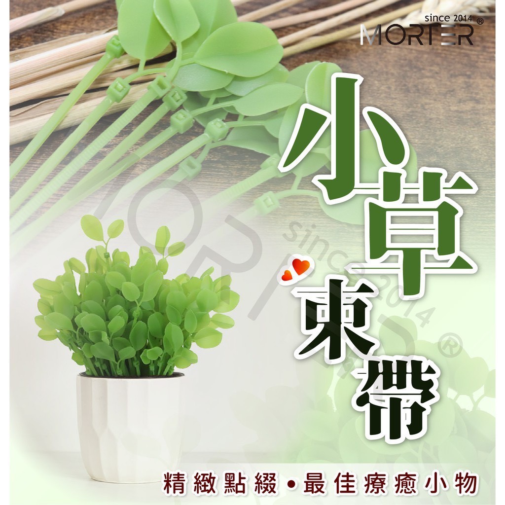 縮圖 2