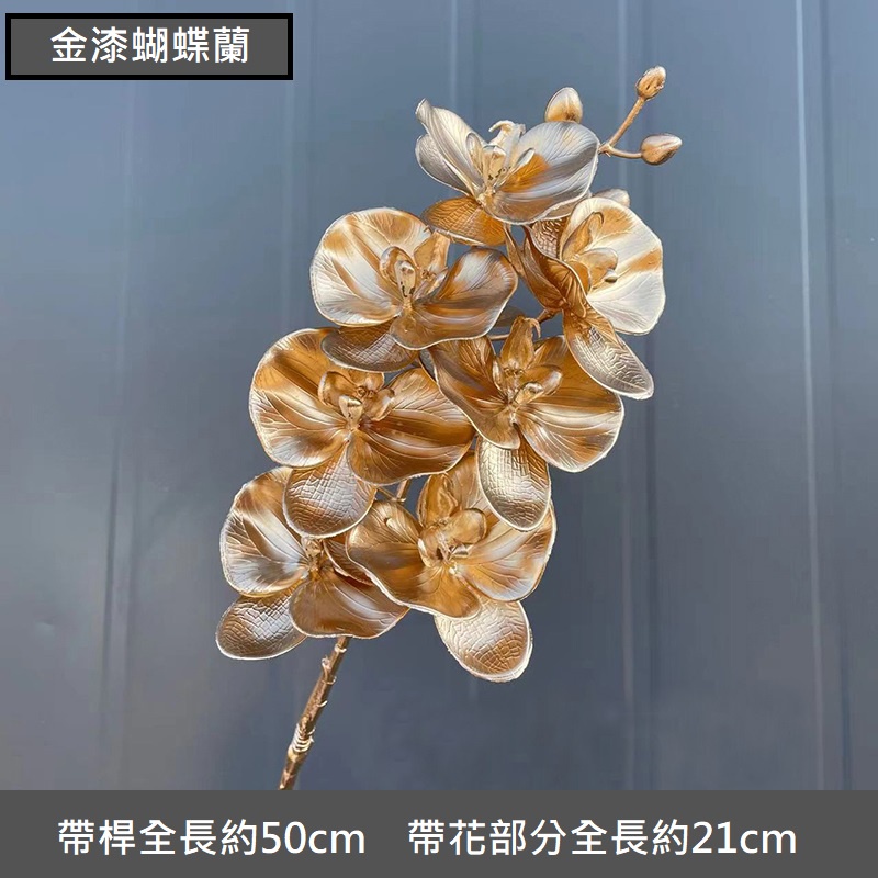 金漆｜短枝蝴蝶蘭（1枝）