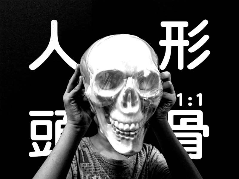 仿真頭骨模型展示圖2