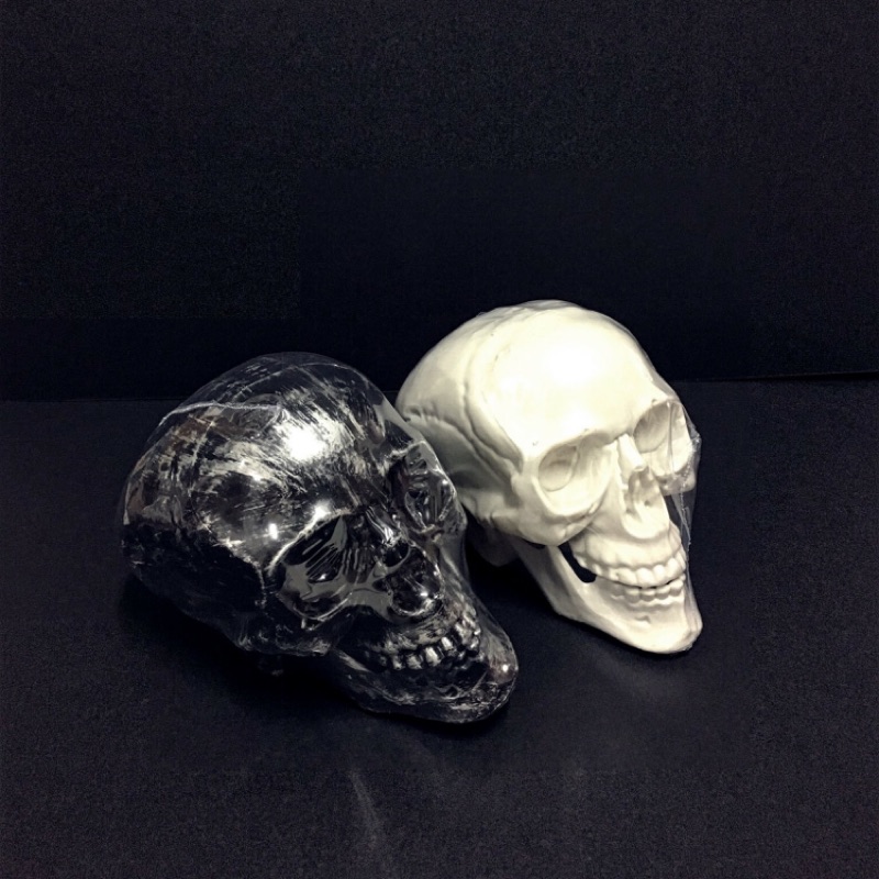 仿真頭骨模型展示圖1