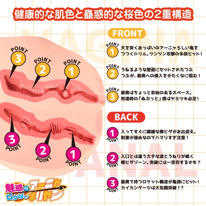 日本SSI JAPAN 魅惑迷人真實的身體+3D骨骼系統 安雅6.5kg 男用自慰套