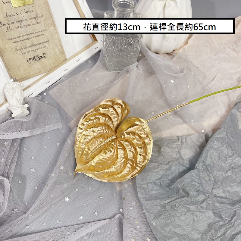 金漆｜火鶴花（1枝）