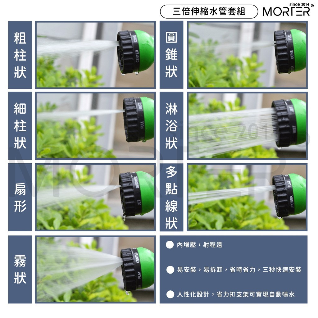 縮圖 5