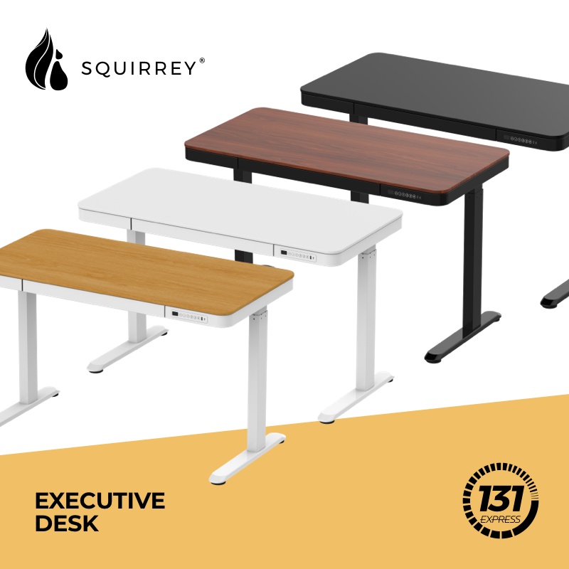 Squirrey Electric Height Adjustable Desk - Executive | Premium [120x60cm Tabletop, USB Port, Control Panel, Furniture]