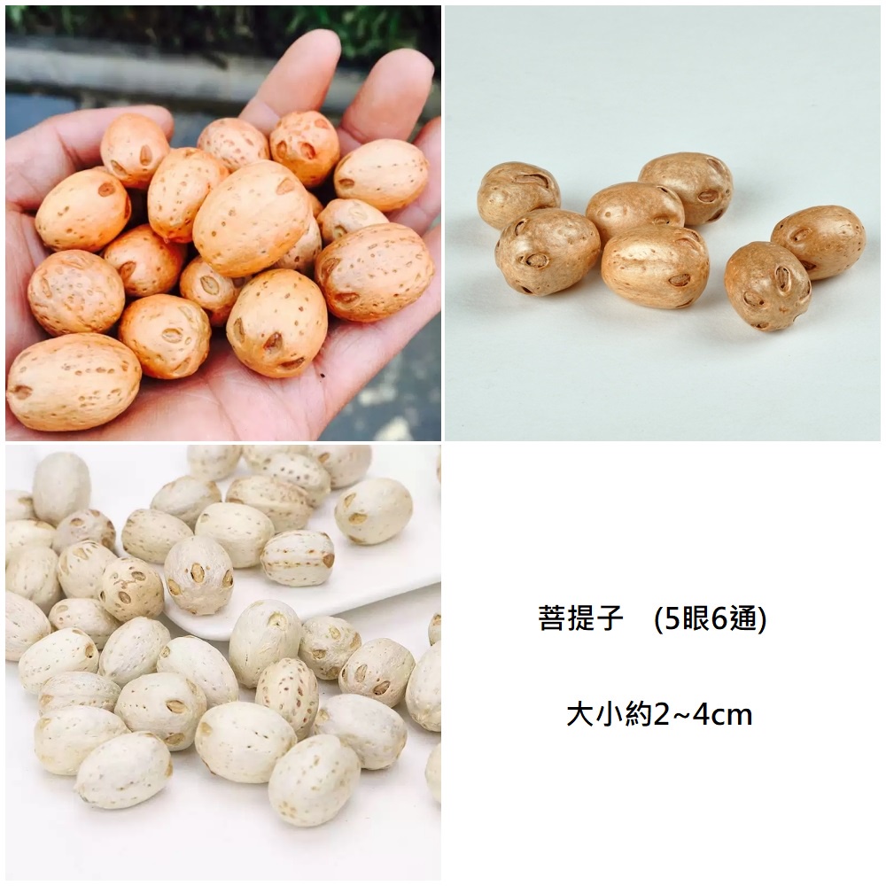菩提子(3個)