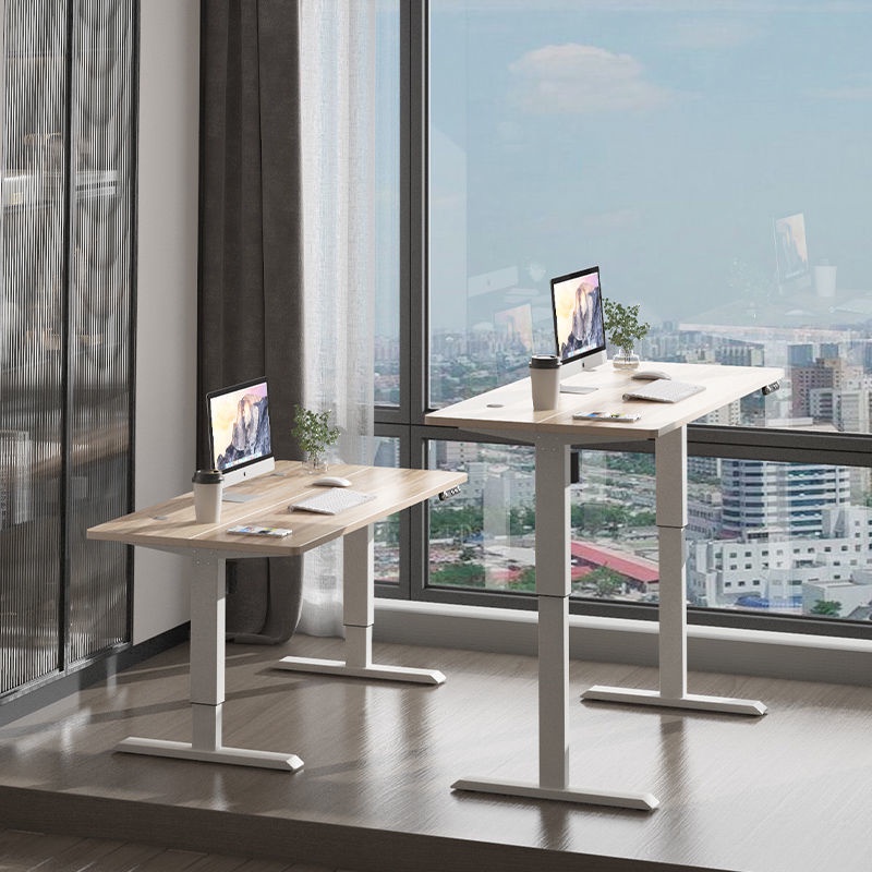 Electric Ergonomic Height Adjustable Table Removable Study Table Computer Table Gamming Gaming Table Work Study Desk