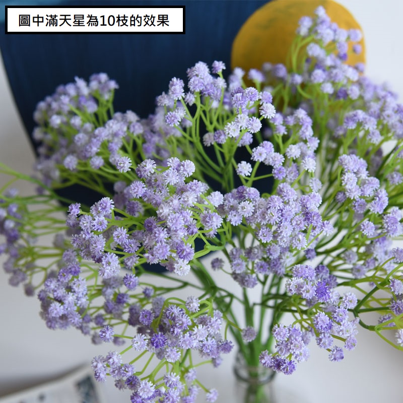 長枝滿天星(漸層紫)