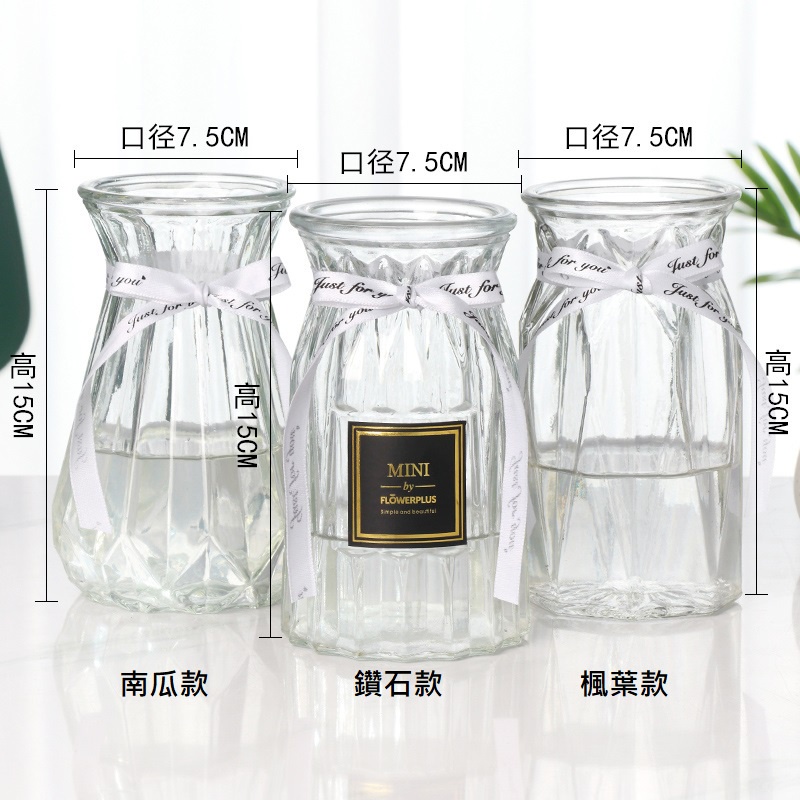 台灣現貨【玻璃花瓶】透明彩色造型花器 水培插花乾燥花永生花擺飾 多款多尺寸 萬聖節佈置