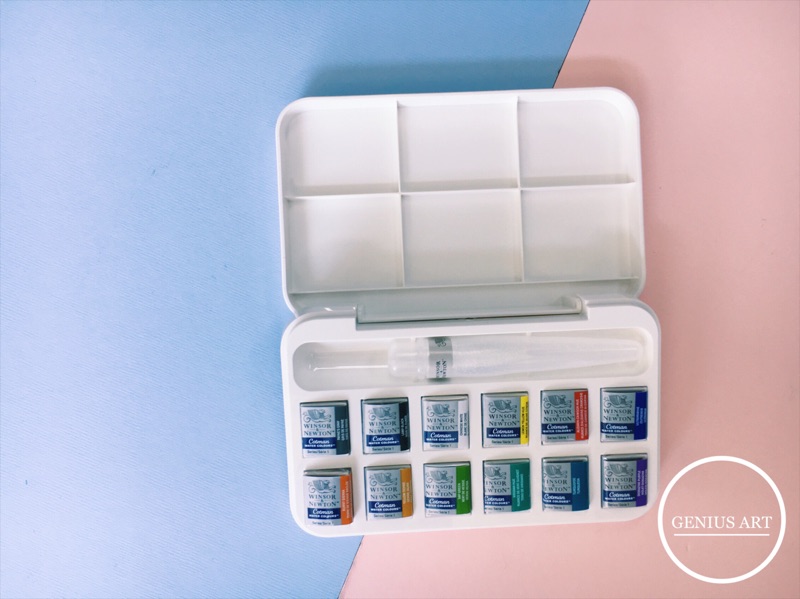 溫莎牛頓 12 色色卡與內容物展示