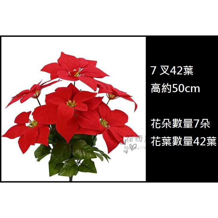 單束：7頭21葉一品紅