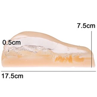 日本KMP 生中OK娘 正常位で生貫通 自慰器 高槻乃々 半透明 二層構造 中出觀察 視覺大興奮