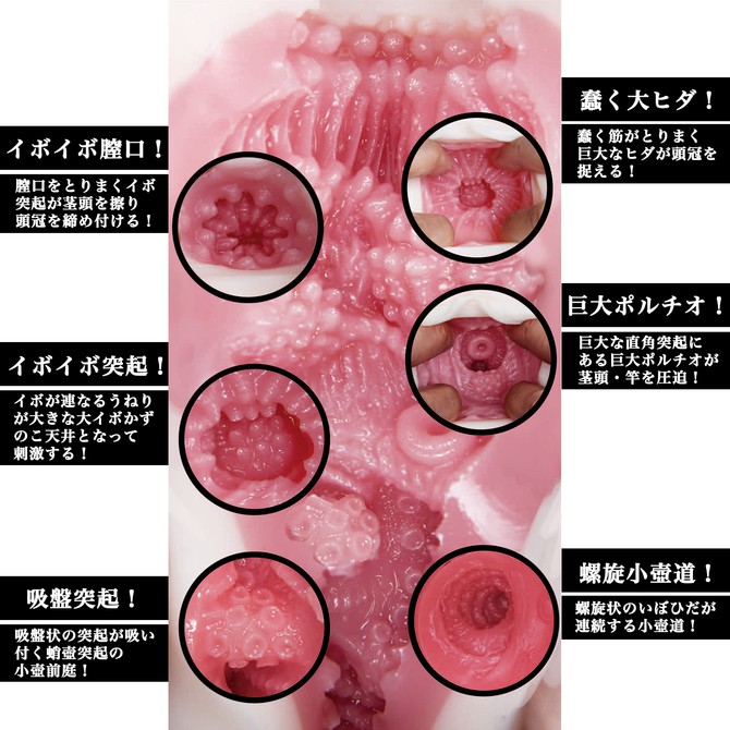 日本NPG XI名器之証明 No.011 高橋聖子 名器 AV女優 禁慾後的肉腔密穴 高橋しょう子