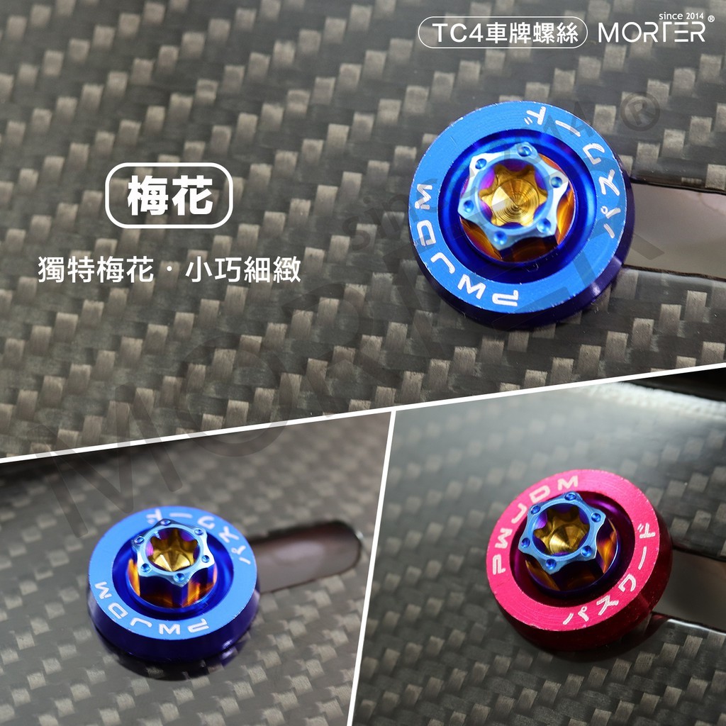 縮圖 6