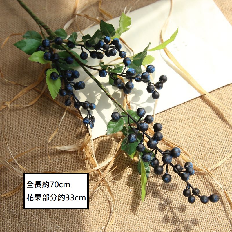 長枝漿果串(藍莓)