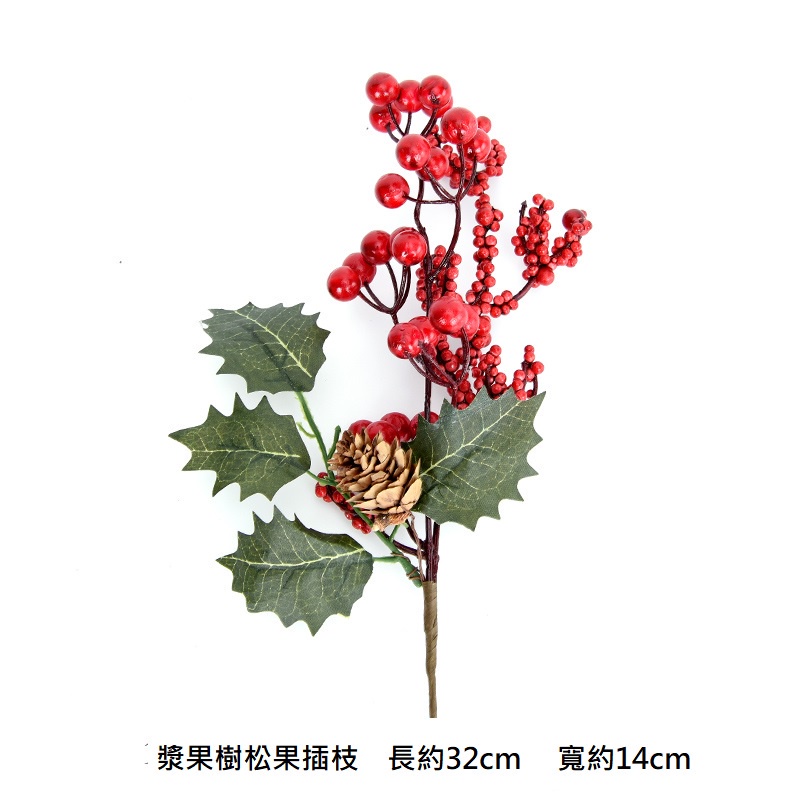 漿果樹小松果插枝