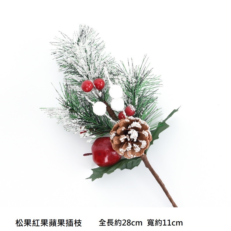 松果紅果蘋果插枝