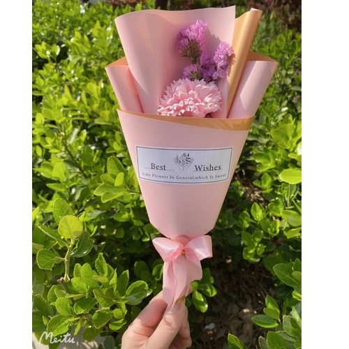 康乃馨花束【粉色】,約10*28cm,純花束（無提袋／無燈串）