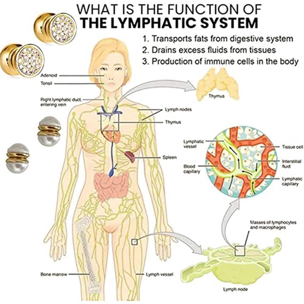 Magnetic Stud Earrings With Pearl Stone And Clip For Non-pierced_voghion.com