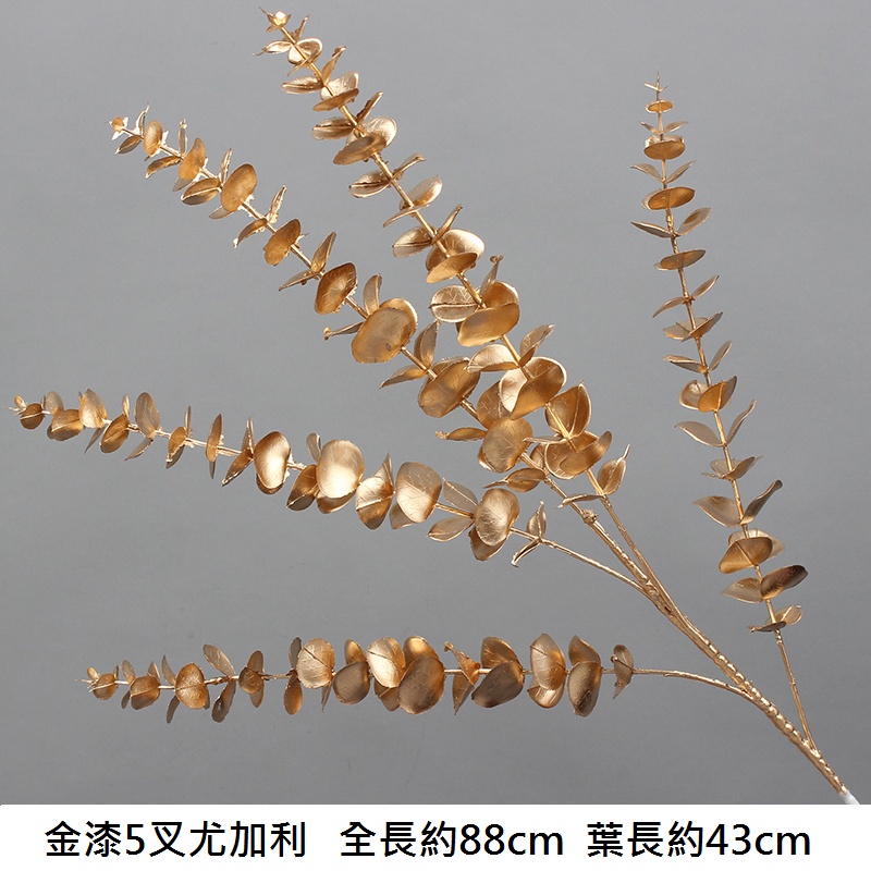 金漆｜五叉尤加利（1枝）