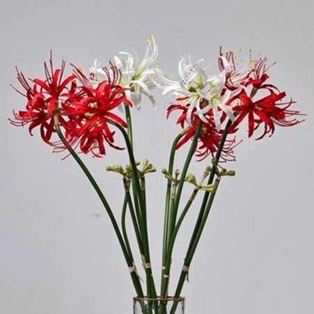 台灣現貨【仿真彼岸花】佛花拜拜供花 祭祀追思佈置 大花單花或3頭 拍照展示道具 花藝材料