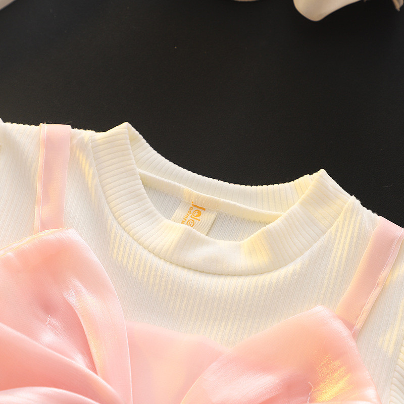 Sequin Flower Embroidered Gauze Dress Long Sleeved Korean Style Dress For Baby Girl_voghion.com