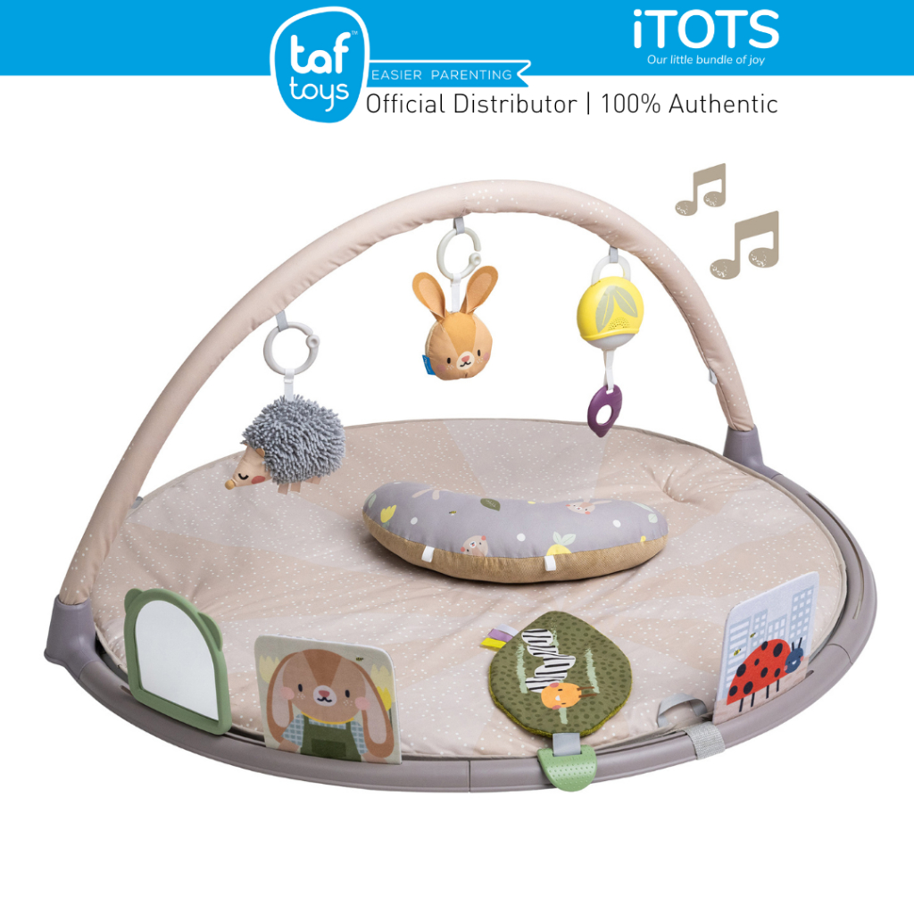 Taf Toys Tummy-Time Activity Gym