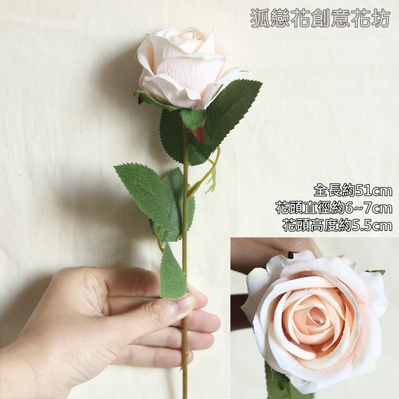 單枝玫瑰❰香檳❱,價錢為1枝的價格