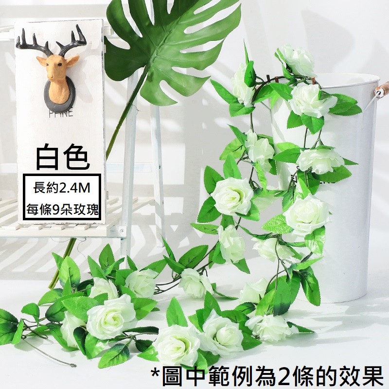 9頭玫瑰❰白❱,價格為1條的價格