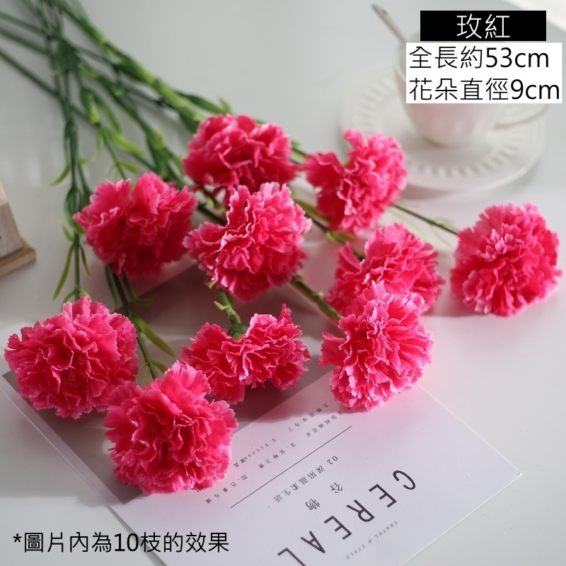 單枝康乃馨❰玫紅❱