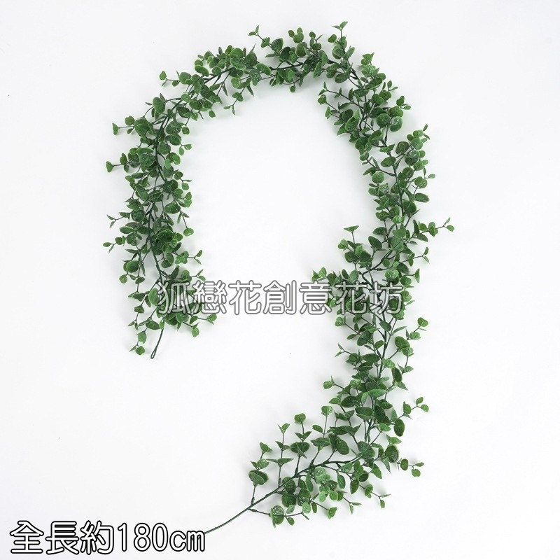 小尤加利藤蔓(無花),價格為1條的價格