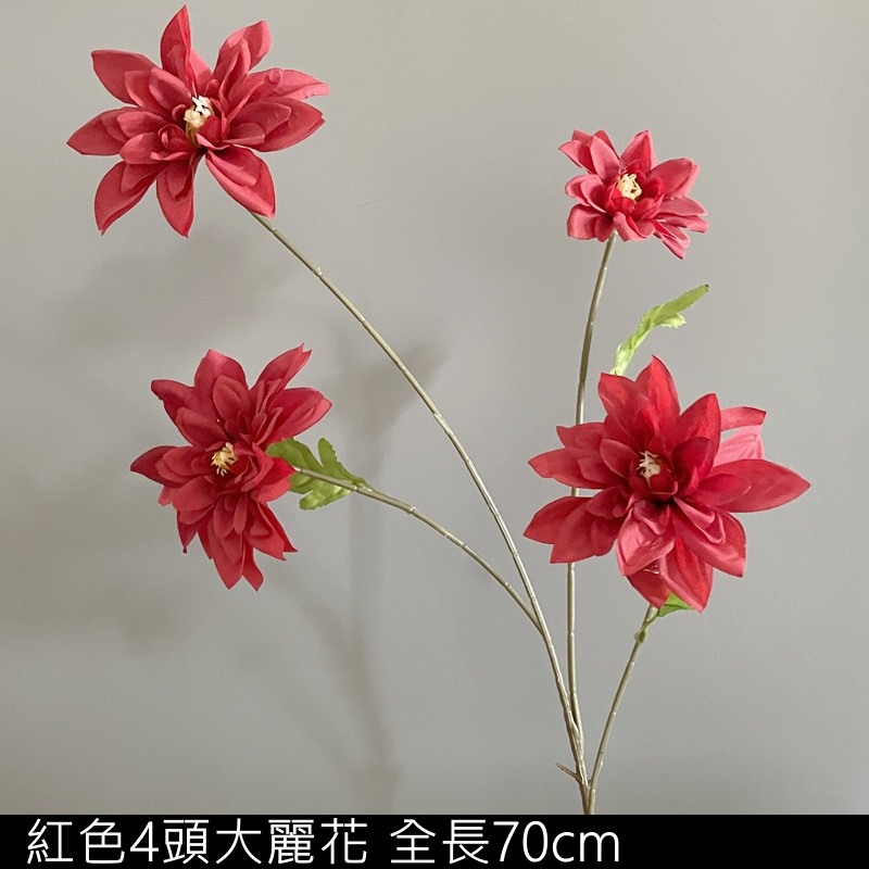 紅色4頭大麗花