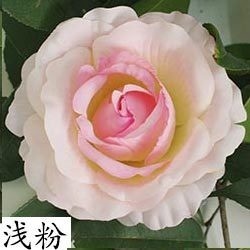<淺粉>12cm大玫瑰4朵