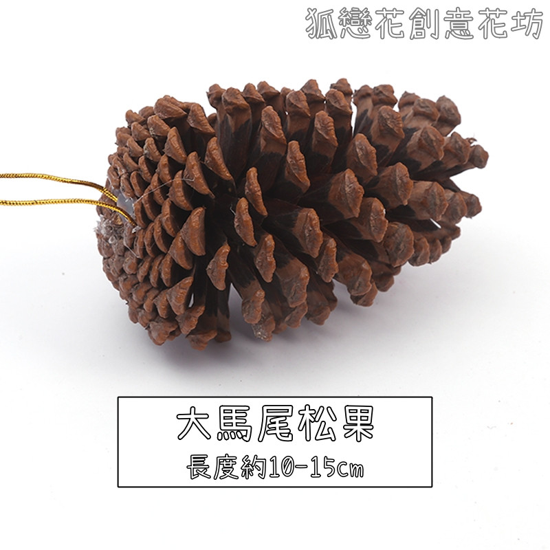 (帶繩)特大馬尾松果❰原色❱,數量以選項為主(掛繩顏色隨機)
