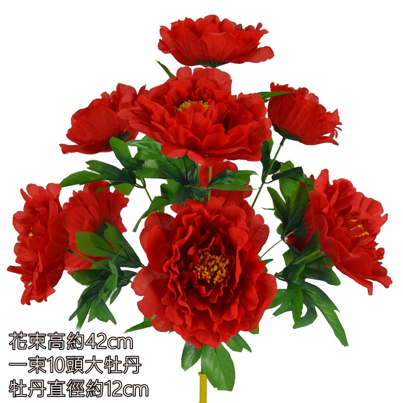 10頭紅色大牡丹