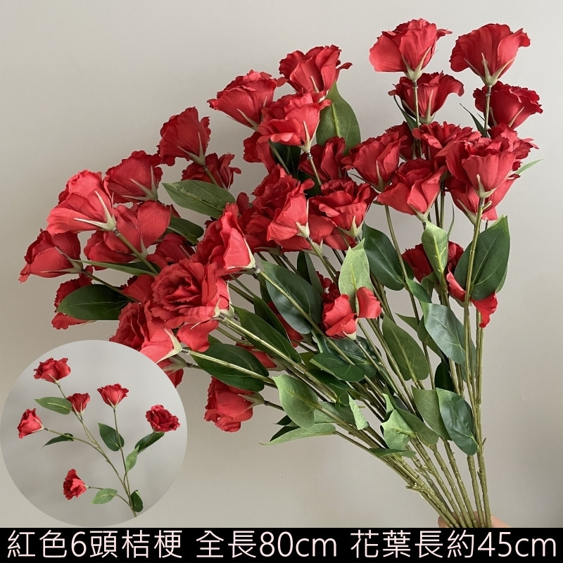 紅色6頭桔梗