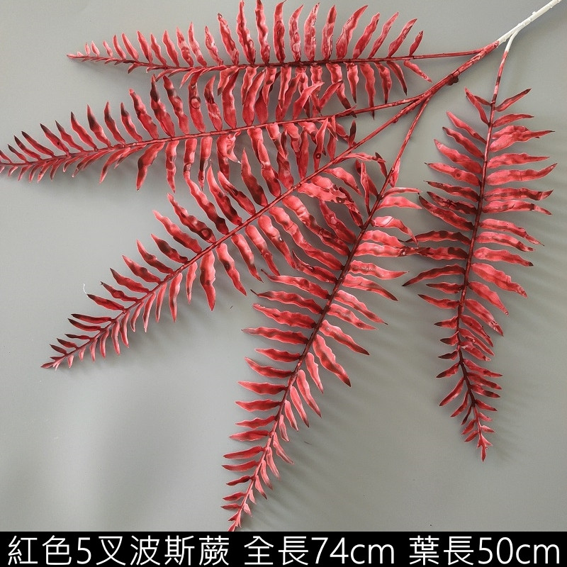 紅色 | 波斯蕨 ( 1支 )