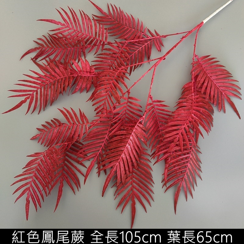 紅色 | 鳳尾蕨 ( 1支 )