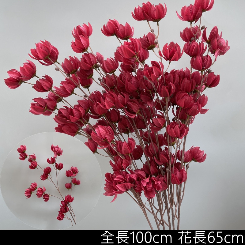 紅色風鈴果
