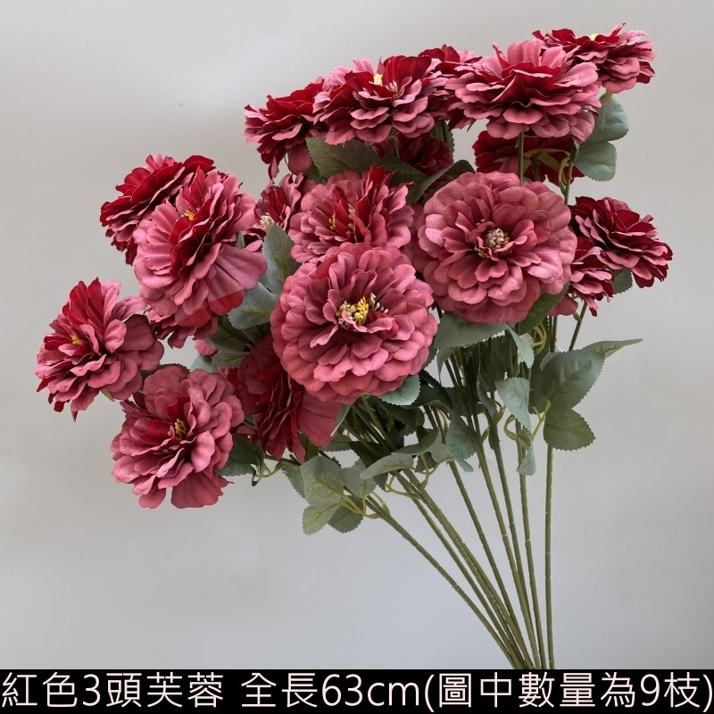 紅色3頭芙蓉