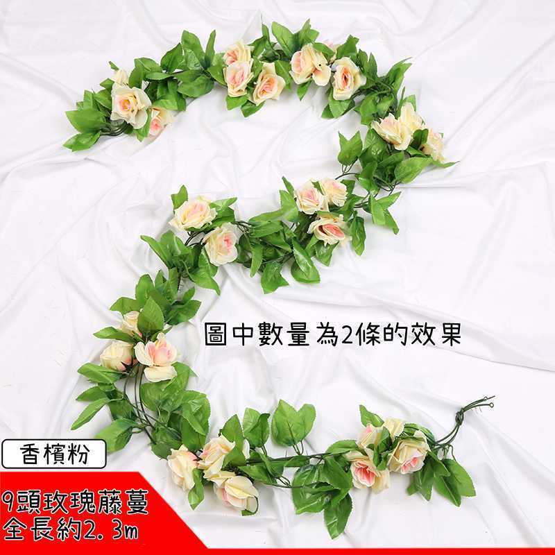 9頭玫瑰❰香檳粉❱,價格為1條的價格